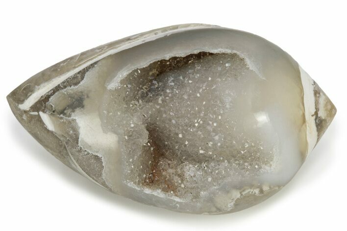 Chalcedony Replaced Gastropod With Sparkly Quartz - India #227384